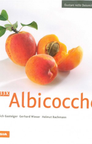 33 x albicocche - Gasteiger, Heinrich