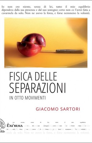 Fisica delle separazioni in otto movimenti  - Sartori Giacomo 