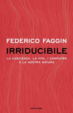Irriducibile - Faggin Federico