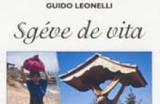 Sg&eacute;ve de vita